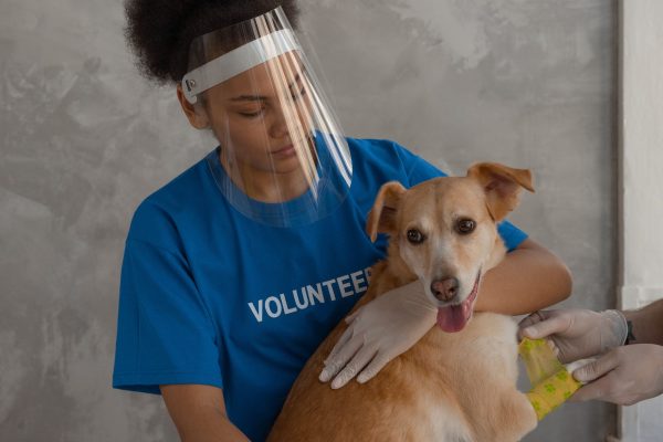 volunteer with rescued dog